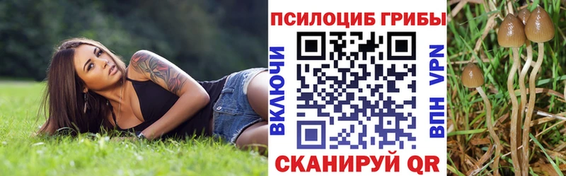 Псилоцибиновые грибы Cubensis Междуреченск